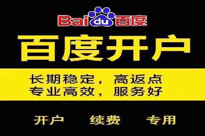 百度推广实战教程：多角度案例分析